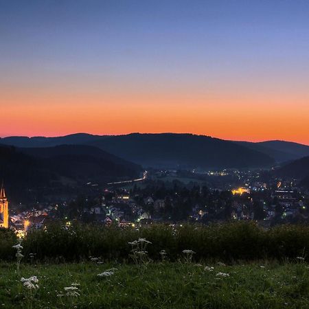 Drei Tannen - Wohnung 11 - Apartmenthaus, Titisee, Feldberg 外观 照片