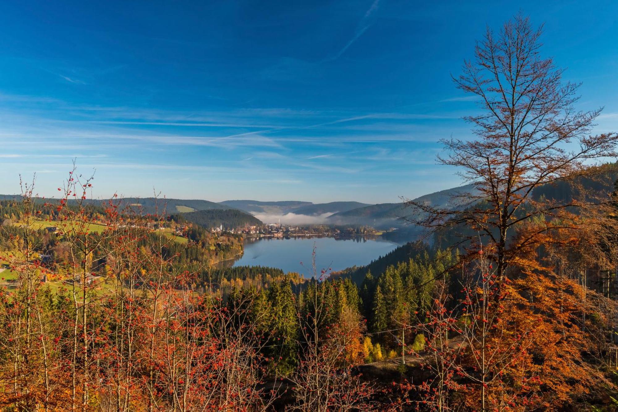 Drei Tannen - Wohnung 11 - Apartmenthaus, Titisee, Feldberg 外观 照片