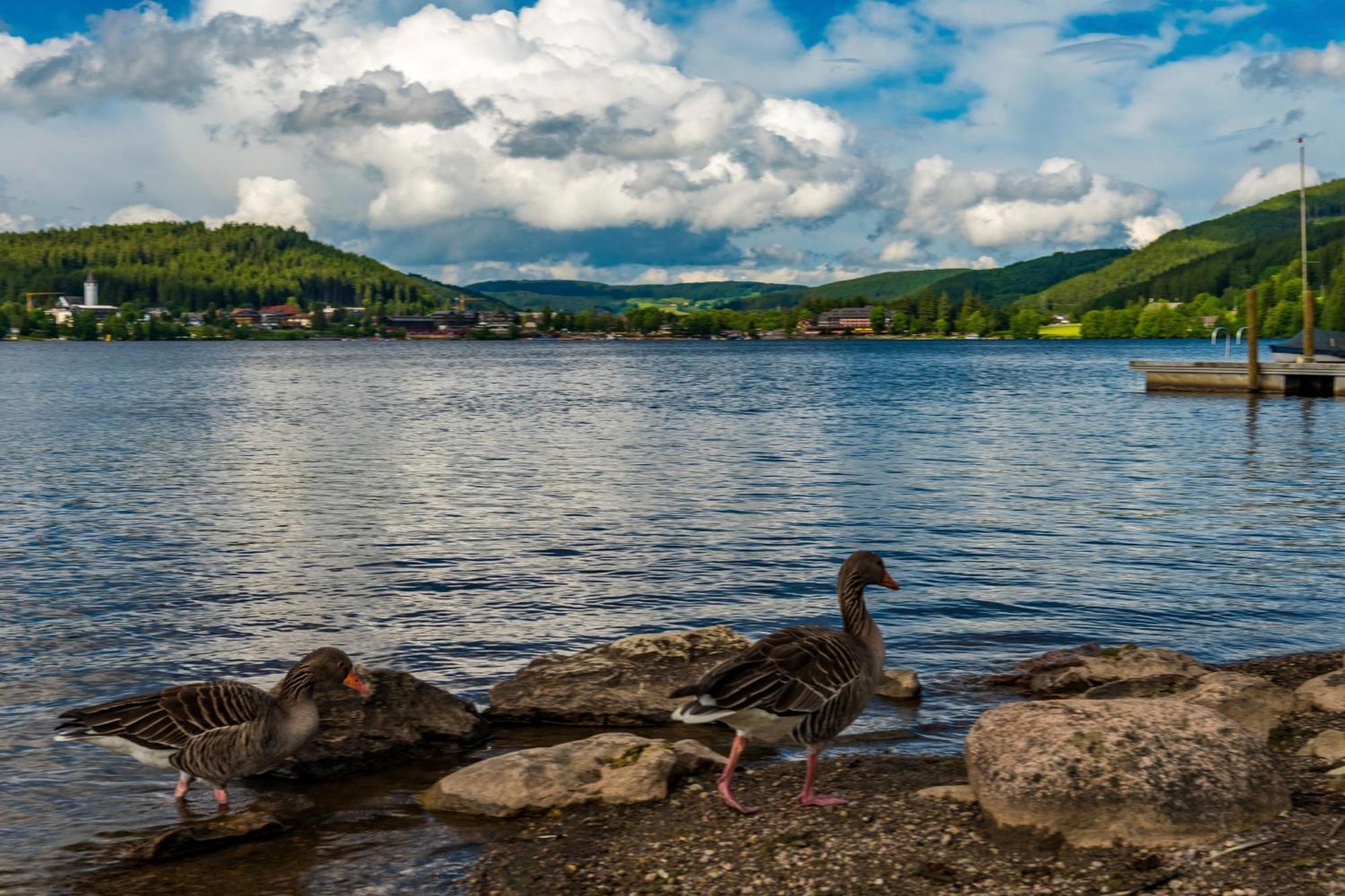 Drei Tannen - Wohnung 11 - Apartmenthaus, Titisee, Feldberg 外观 照片